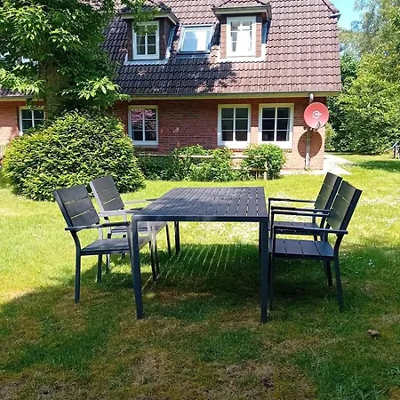 Dünem Odde Og Li Nebel