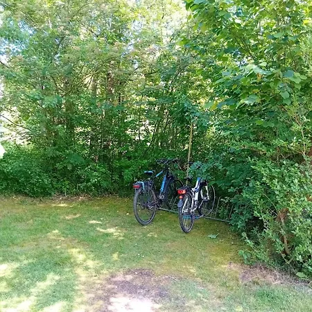 Dünem Odde Og Li