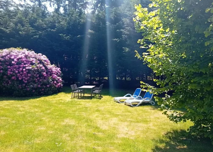 Duenem-odde-og-li Appartement Nebel