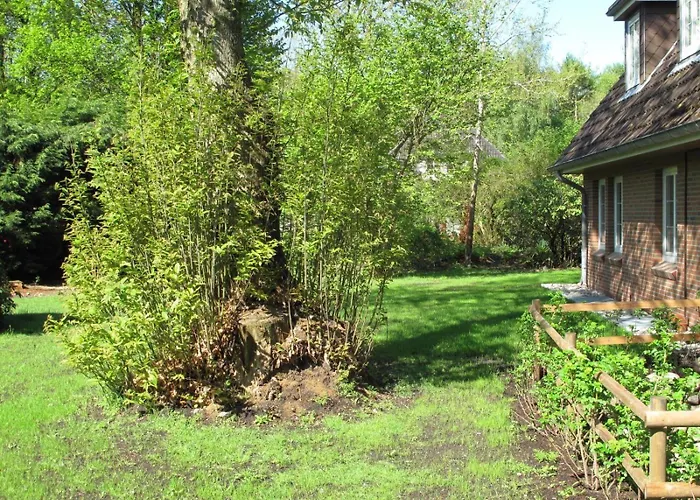 Duenem-odde-og-li * Nebel